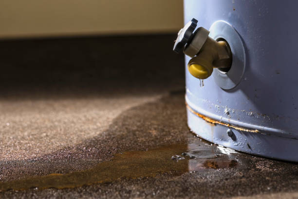 Sewage cleanup and water damage restoration in IL