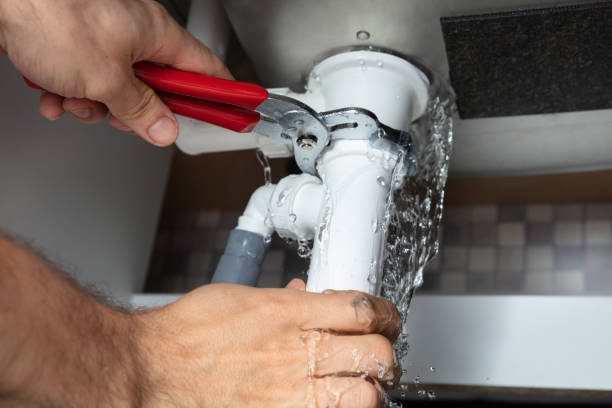 Best Carpet water damage restoration  in Zion, IL