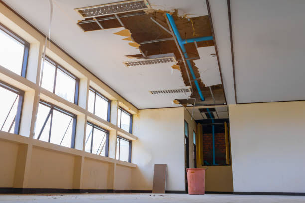 Best Mold removal after water damage  in Zion, IL