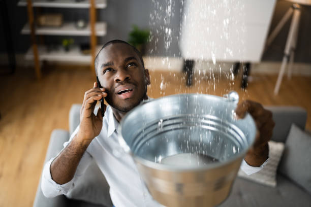 Best Residential water damage restoration  in Zion, IL