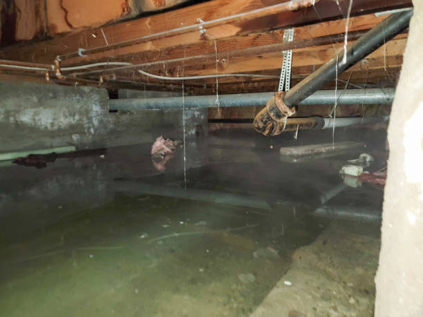 Best Water damage restoration near me  in Zion, IL