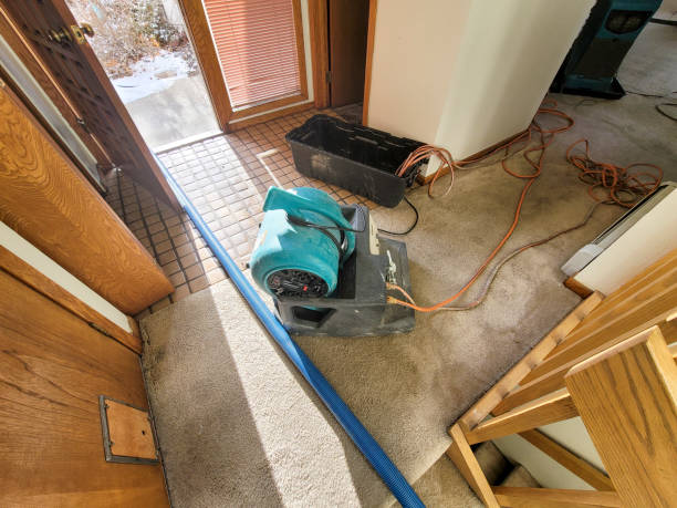 Best Commercial water damage restoration  in Zion, IL